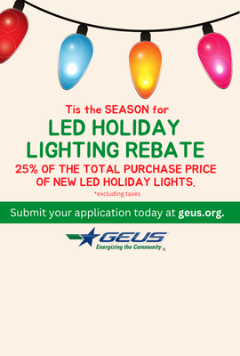 Tis the SEASON for LED Holiday Lighting Rebate (270 x 400 px)