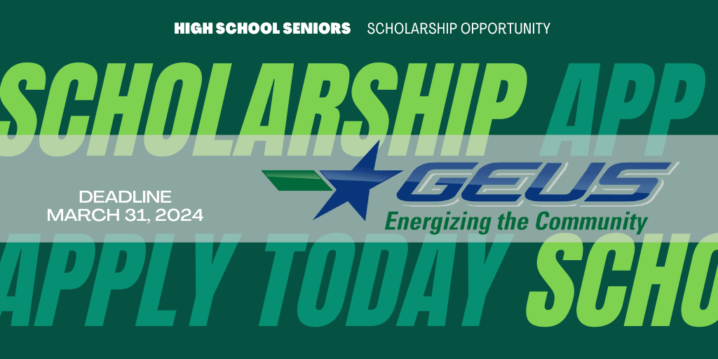 GEUS Scholarship2024
