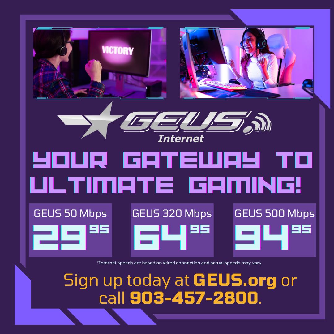 GEUS Internet